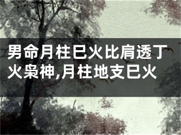 男命月柱巳火比肩透丁火枭神,月柱地支巳火