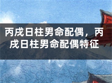 丙戌日柱男命配偶,丙戌日柱男命配偶特征