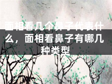 面相看几个鼻子代表什么,面相看鼻子有哪几种类型
