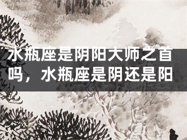 水瓶座是阴阳大师之首吗,水瓶座是阴还是阳