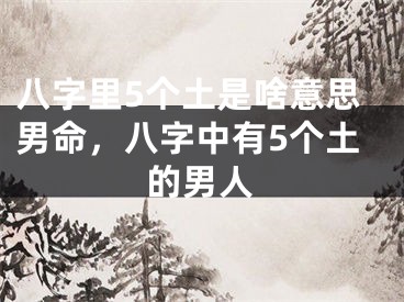 八字里5个土是啥意思男命,八字中有5个土的男人