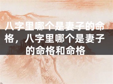 八字里哪个是妻子的命格,八字里哪个是妻子的命格和命格