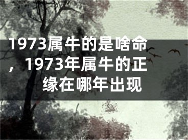 1973属牛的是啥命，1973年属牛的正缘在哪年出现