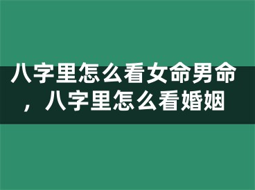 八字里怎么看女命男命,八字里怎么看婚姻