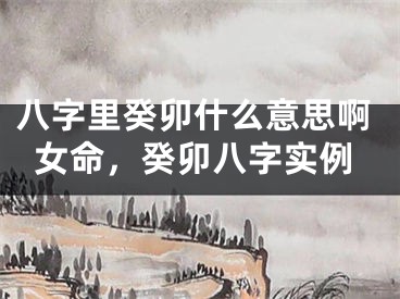 八字里癸卯什么意思啊女命,癸卯八字实例