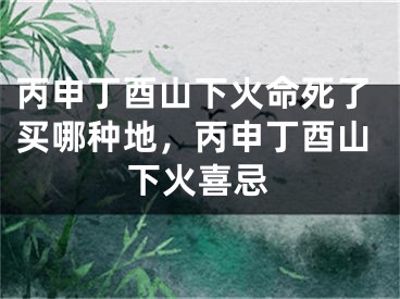丙申丁酉山下火命死了买哪种地，丙申丁酉山下火喜忌