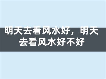明天去看风水好,明天去看风水好不好