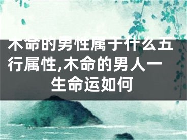 木命的男性属于什么五行属性,木命的男人一生命运如何