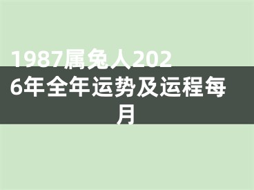 1987属兔人2026年全年运势及运程每月