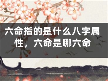 六命指的是什么八字属性,六命是哪六命