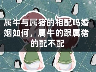 属牛与属猪的相配吗婚姻如何,属牛的跟属猪的配不配