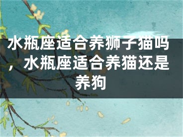 水瓶座适合养狮子猫吗,水瓶座适合养猫还是养狗