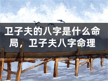 卫子夫的八字是什么命局,卫子夫八字命理