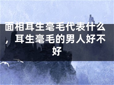 面相耳生毫毛代表什么,耳生毫毛的男人好不好