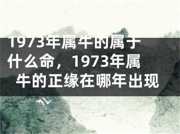 1973年属牛的属于什么命，1973年属牛的正缘在哪年出现