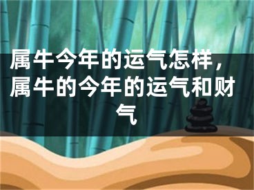 属牛今年的运气怎样,属牛的今年的运气和财气