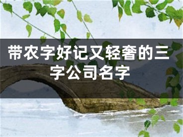 带农字好记又轻奢的三字公司名字