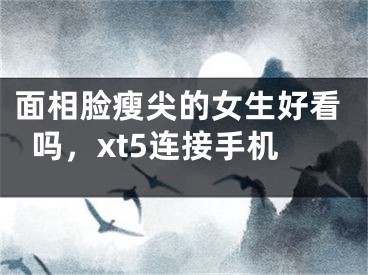 面相脸瘦尖的女生好看吗,xt5连接手机