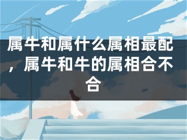 属牛和属什么属相最配,属牛和牛的属相合不合