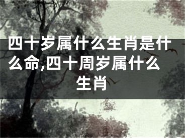 四十岁属什么生肖是什么命,四十周岁属什么生肖