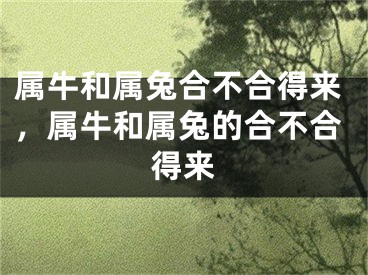 属牛和属兔合不合得来,属牛和属兔的合不合得来