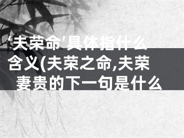‘夫荣命’具体指什么含义(夫荣之命,夫荣妻贵的下一句是什么