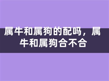 属牛和属狗的配吗,属牛和属狗合不合