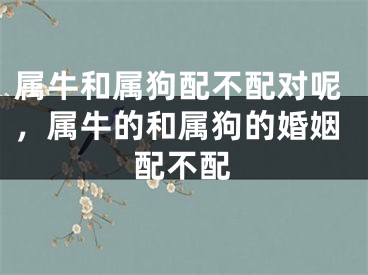 属牛和属狗配不配对呢,属牛的和属狗的婚姻配不配