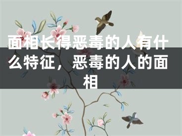 面相长得恶毒的人有什么特征,恶毒的人的面相