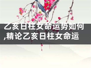 乙亥日柱女命运势如何,精论乙亥日柱女命运