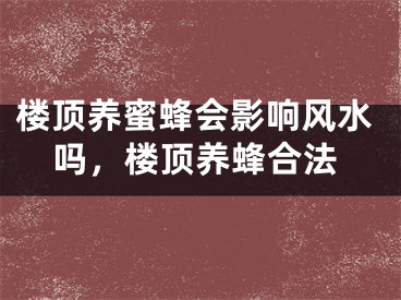 楼顶养蜜蜂会影响风水吗,楼顶养蜂合法
