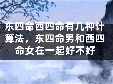 东四命西四命有几种计算法,东四命男和西四命女在一起好不好