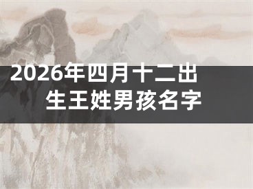 2026年四月十二出生王姓男孩名字