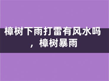 樟树下雨打雷有风水吗，樟树暴雨