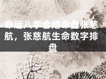 命运八字合婚命盘张慈航，张慈航生命数字排盘