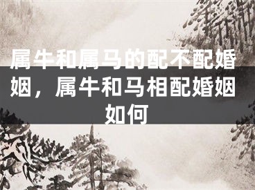 属牛和属马的配不配婚姻,属牛和马相配婚姻如何