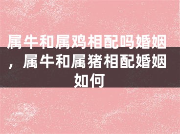 属牛和属鸡相配吗婚姻,属牛和属猪相配婚姻如何