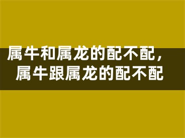 属牛和属龙的配不配,属牛跟属龙的配不配