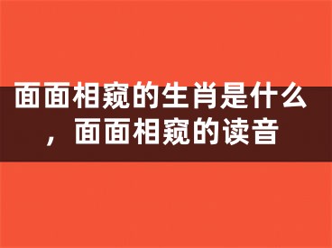 面面相窥的生肖是什么，面面相窥的读音