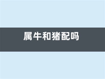 属牛和猪配吗