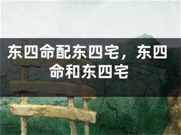 东四命配东四宅,东四命和东四宅