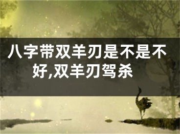 八字带双羊刃是不是不好,双羊刃驾杀