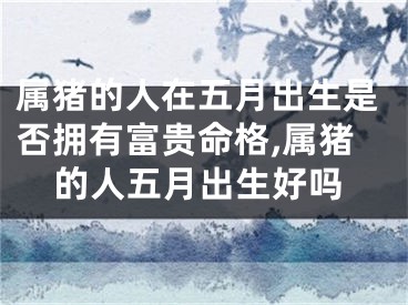 属猪的人在五月出生是否拥有富贵命格,属猪的人五月出生好吗
