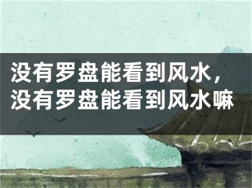 没有罗盘能看到风水,没有罗盘能看到风水嘛