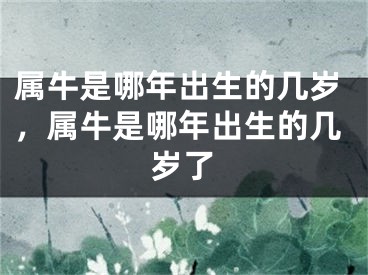 属牛是哪年出生的几岁,属牛是哪年出生的几岁了
