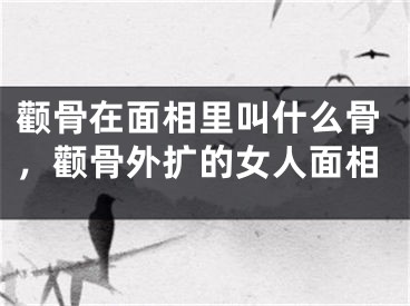 颧骨在面相里叫什么骨,颧骨外扩的女人面相
