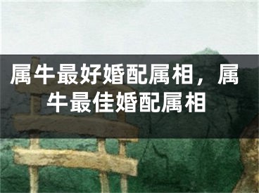 属牛最好婚配属相,属牛最佳婚配属相