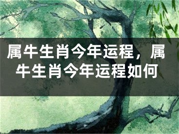 属牛生肖今年运程,属牛生肖今年运程如何