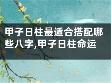 甲子日柱最适合搭配哪些八字,甲子日柱命运