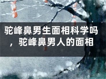 驼峰鼻男生面相科学吗,驼峰鼻男人的面相